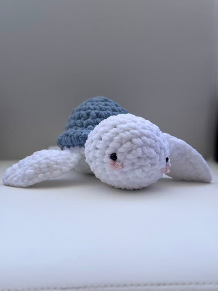 Turtle Medium 1